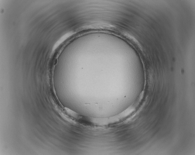 X0000062891114200602031800