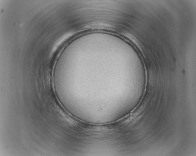 X0000062891115200602031800