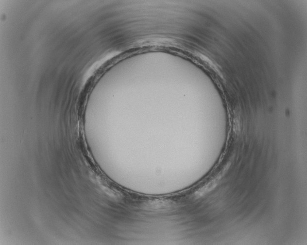 X0000062891117200602031800