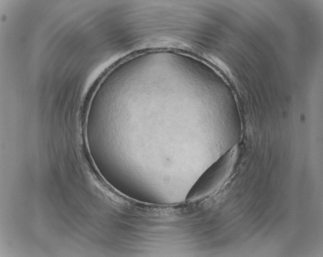 X0000062891120200602031800