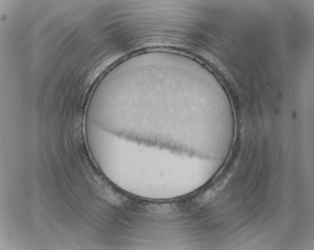 X0000062891121200602031800