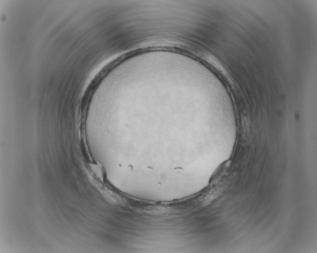 X0000062891124200602031800