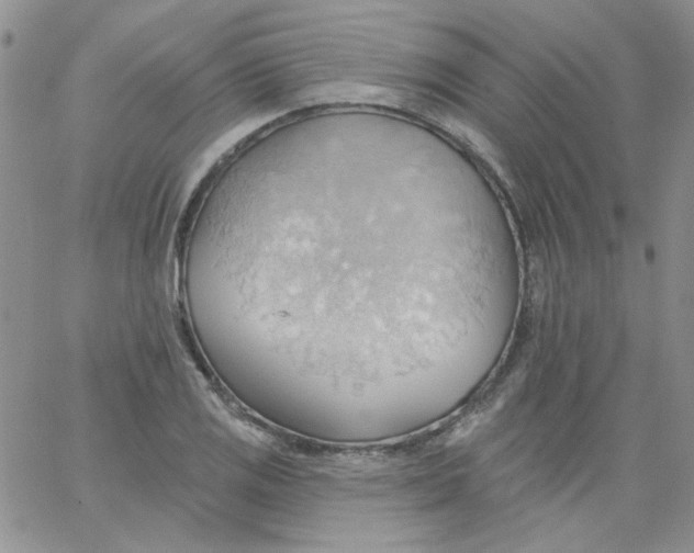 X0000062891125200602031800