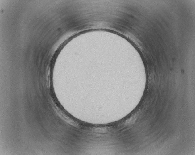 X0000062891126200602031800