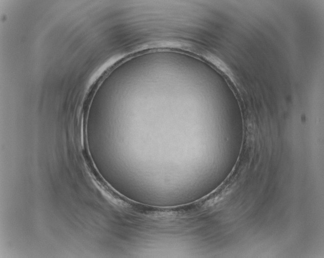 X0000062891127200602031800