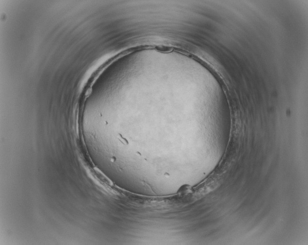 X0000062891128200602031800