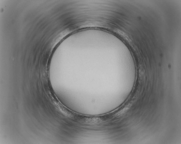 X0000062891129200602031800