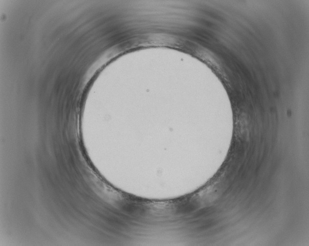 X0000062891130200602031800