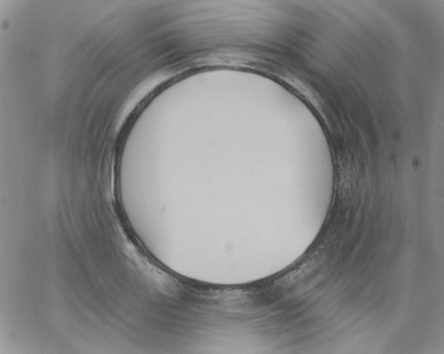 X0000062891131200602031800