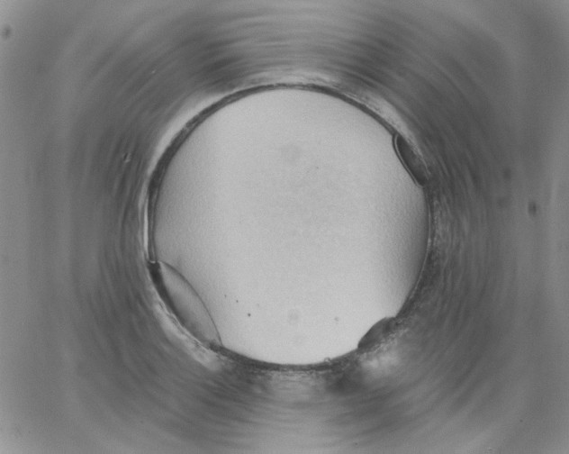 X0000062891132200602031800