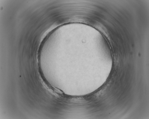 X0000062891133200602031800