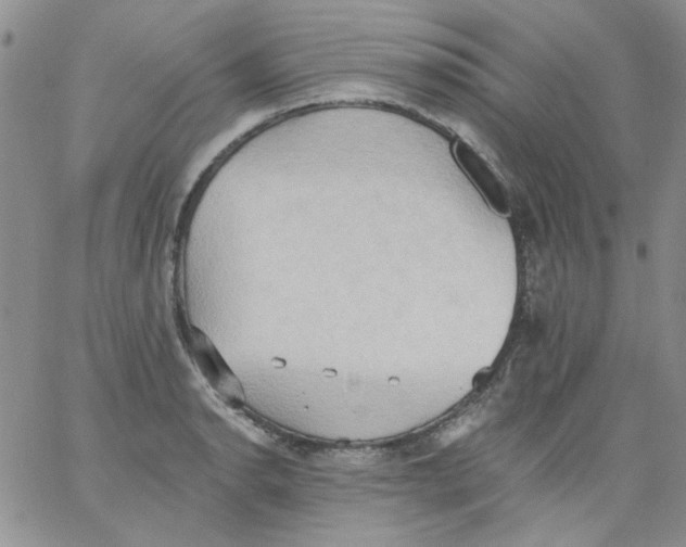 X0000062891134200602031800