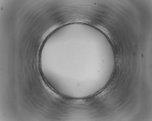 X0000062891135200602031800