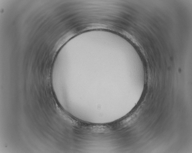 X0000062891137200602031800