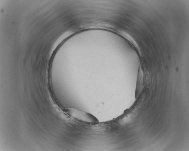 X0000062891138200602031800