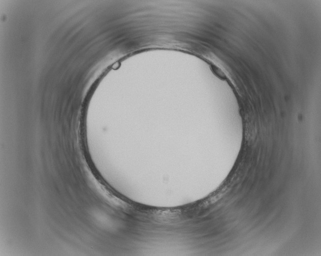 X0000062891139200602031800