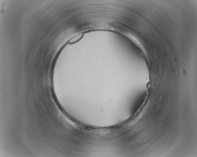 X0000062891141200602031801