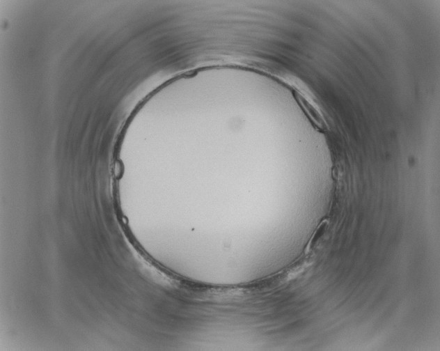 X0000062891143200602031801