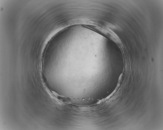 X0000062891144200602031801