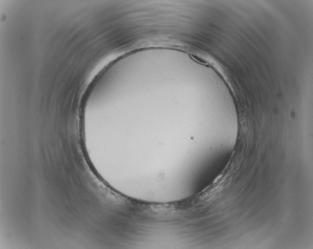 X0000062891147200602031801