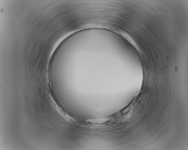 X0000062891148200602031801