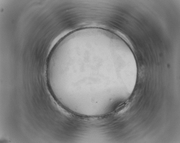 X0000062891149200602031801