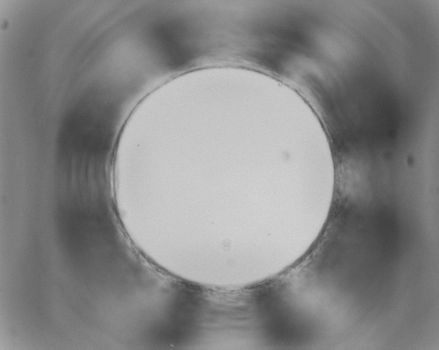 X0000062891150200602031801