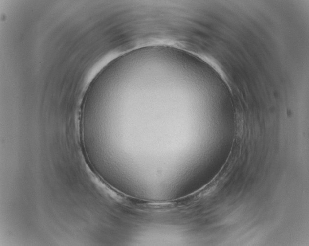 X0000062891151200602031801