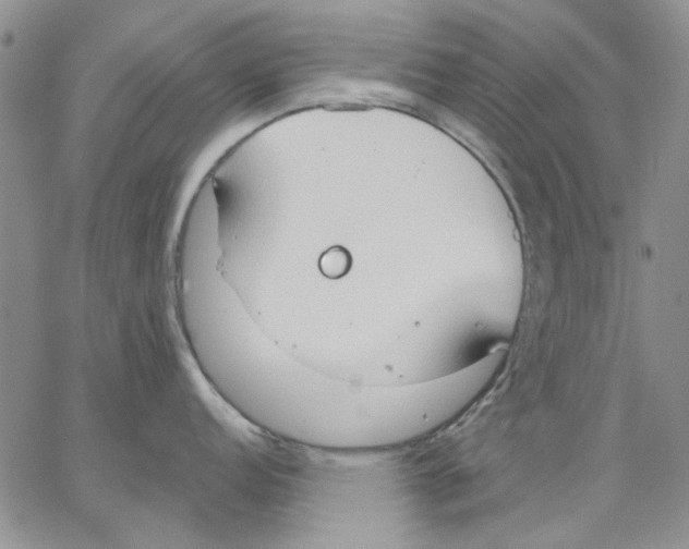 X0000062891152200602031801