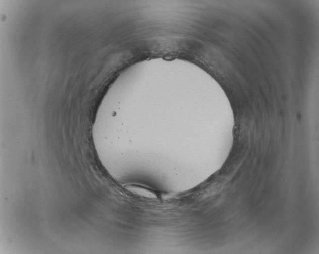 X0000062891153200602031800