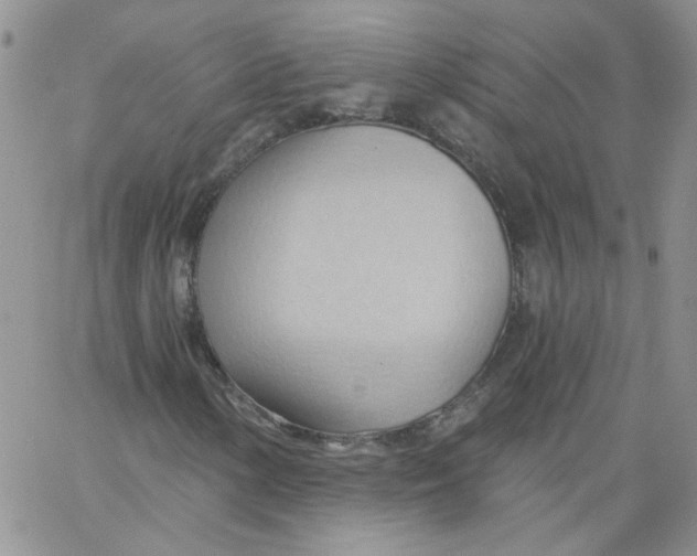 X0000062891154200602031800