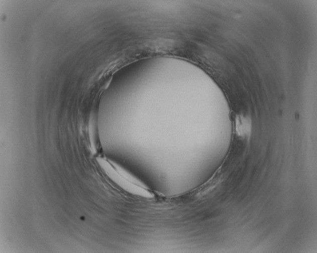 X0000062891155200602031800