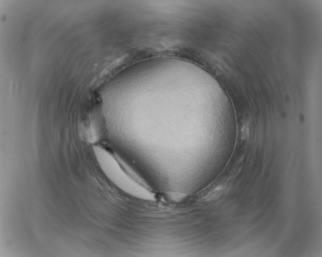 X0000062891156200602031800