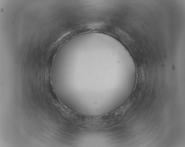 X0000062891158200602031800