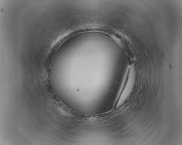 X0000062891160200602031800