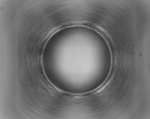 X0000062891161200602031800