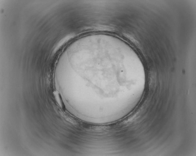 X0000062891163200602031800