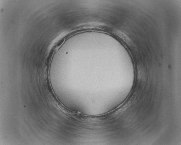 X0000062891164200602031800