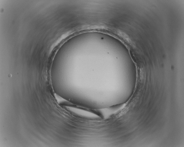 X0000062891165200602031800