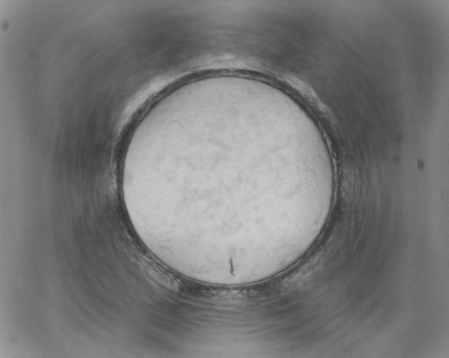 X0000062891167200602031800