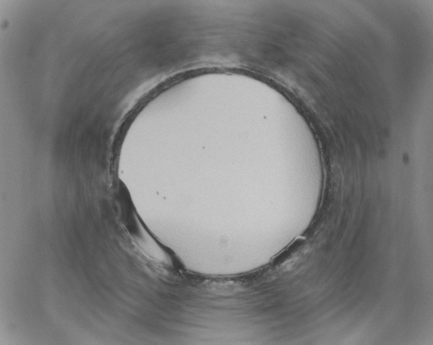 X0000062891168200602031800