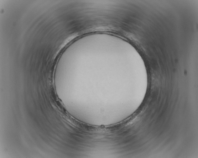 X0000062891170200602031800