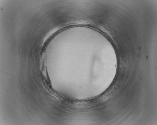 X0000062891171200602031800