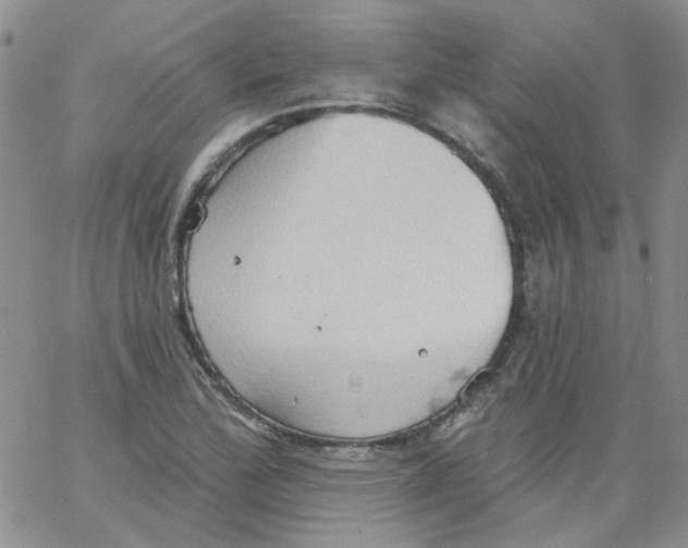 X0000062891172200602031800