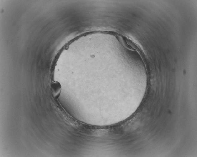 X0000062891173200602031800