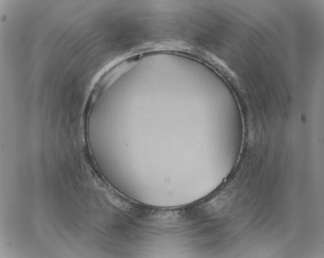 X0000062891174200602031800