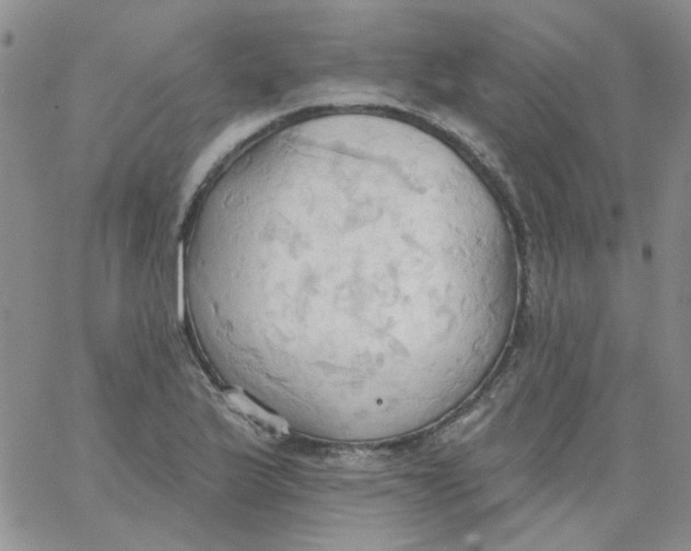 X0000062891175200602031800