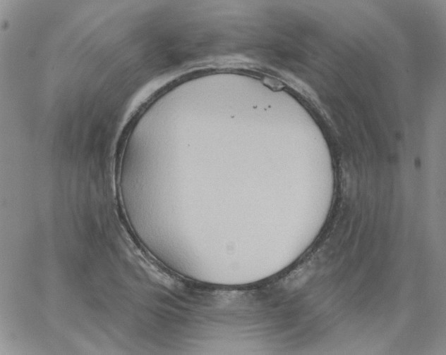 X0000062891176200602031800