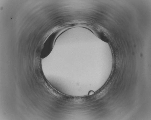 X0000062891177200602031800