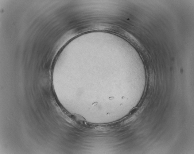 X0000062891178200602031800